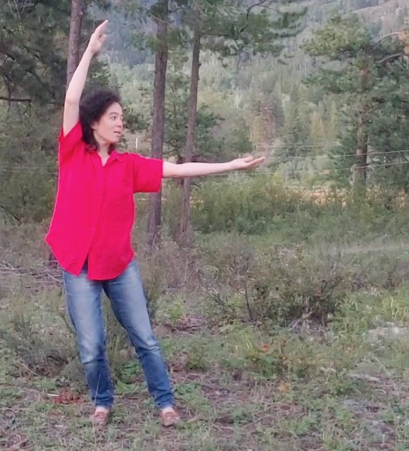 taichi-qigong-shibashi